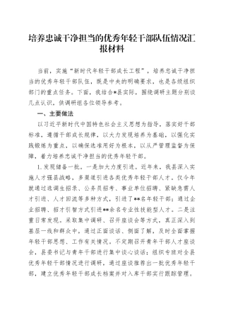培养忠诚干净担当的优秀年轻干部队伍情况汇报材料