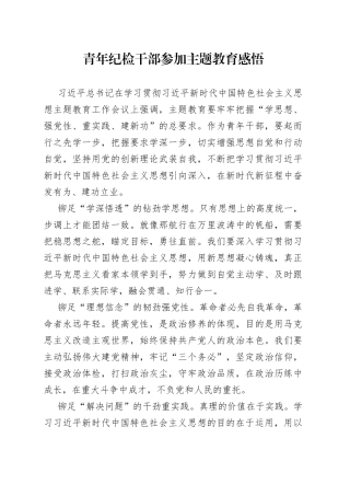 青年纪检干部参加主题教育感悟