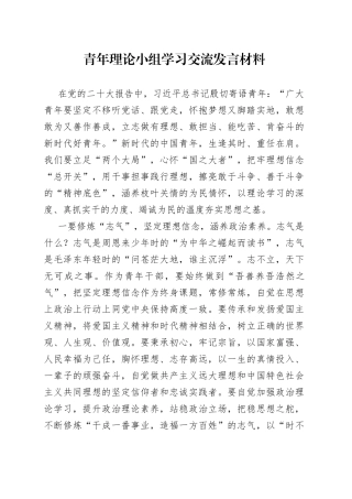 青年理论小组学习交流发言材料