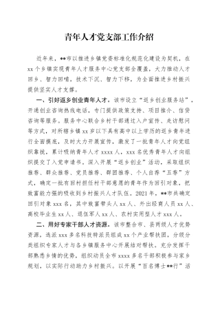 青年人才党支部工作介绍