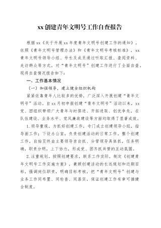 青年文明号自查报告