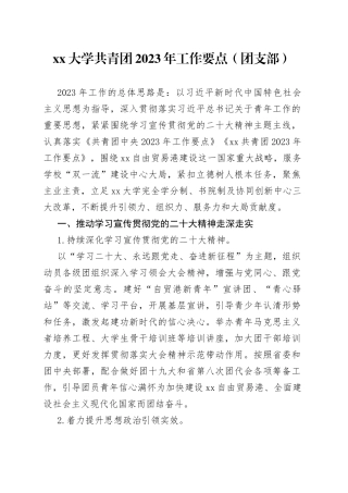 大学共青团2023年工作要点（团支部）