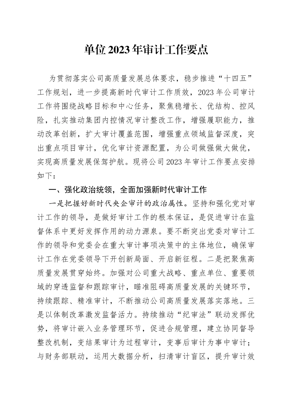 单位2023年审计工作要点_第1页