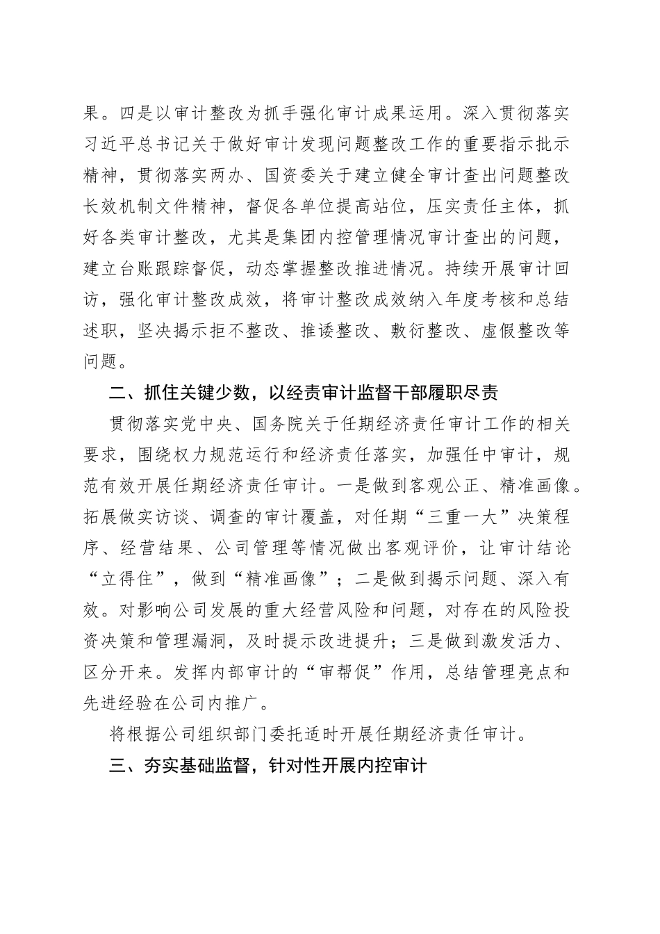 单位2023年审计工作要点_第2页