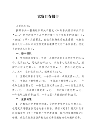 党费自查报告