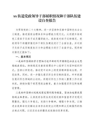 街道党政领导干部履职情况和干部队伍建设自查报告