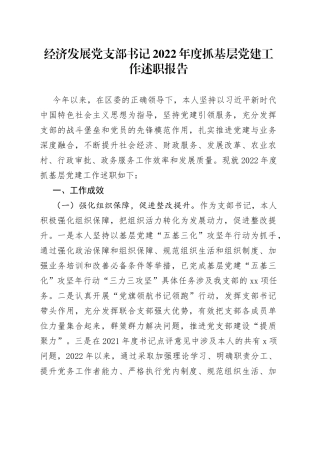经济发展党支部书记2022年度抓基层党建工作述职报告