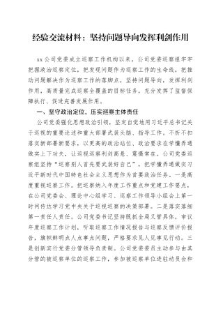 经验交流材料：坚持问题导向 发挥利剑作用