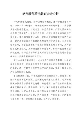 酒驾醉驾警示教育大会心得