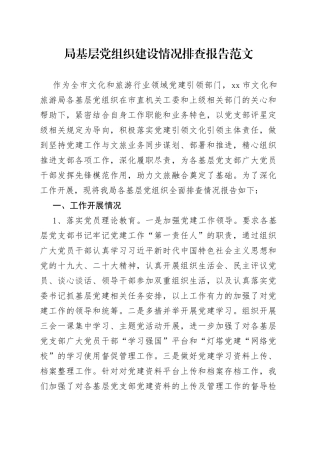 局基层党组织建设情况排查报告支部工作汇报总结