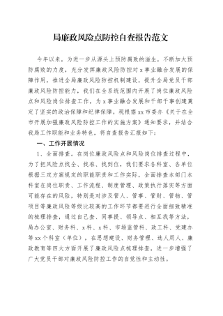 局廉政风险点防控自查报告工作汇报总结