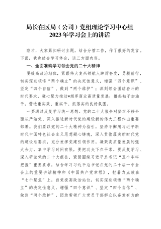 局长在区局（公司）党组理论学习中心组2023年学习会上的讲话