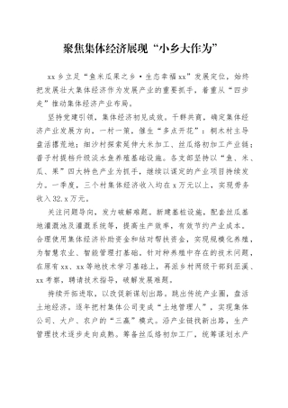 聚焦集体经济 展现“小乡大作为”