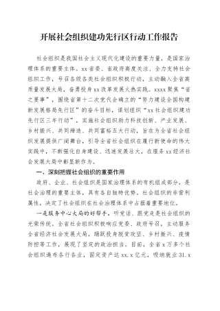 开展社会组织建功先行区行动工作报告