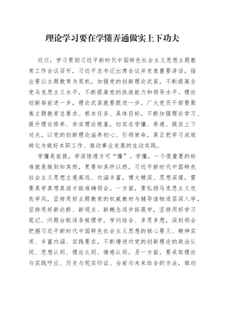理论学习要在学懂弄通做实上下功夫