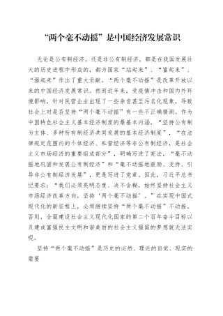 两个毫不动摇”是中国经济发展常识