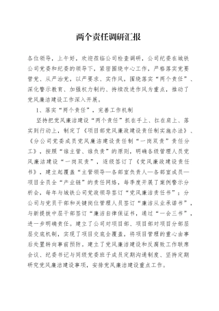 两个责任调研汇报