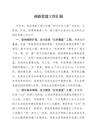 两新党建工作汇报（1）