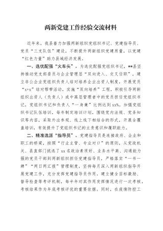 两新党建工作经验交流材料