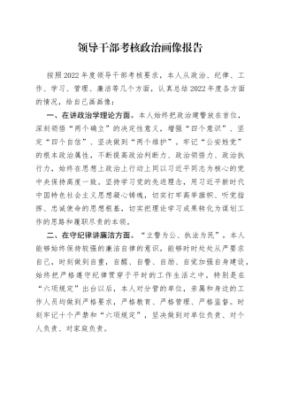 领导干部考核政治画像报告