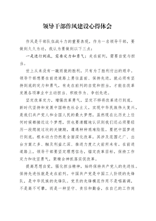 领导干部作风建设心得体会