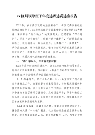 区局领导班子年度述职述责述廉报告