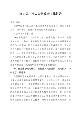 区六届三次人大常委会工作报告