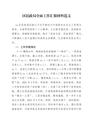 区民政局全面工作汇报总结报告