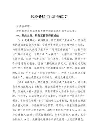 区税务局工作汇报范文（报组织部，党建引领，干部队伍建设工作总结报告）
