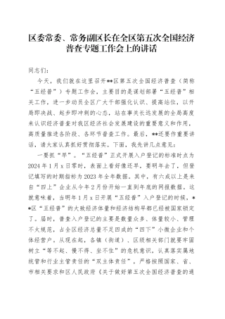 区委常委、常务副区长在全区第五次全国经济普查专题工作会上的讲话
