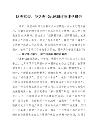 区委常委、乡党委书记述职述廉述学报告