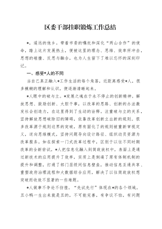 区委干部挂职锻炼工作总结
