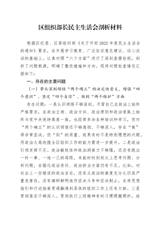 区组织部长民主生活会剖析材料