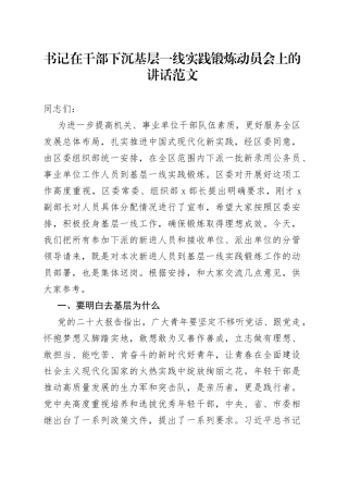 全区干部下沉基层一线实践锻炼动员会讲话会议