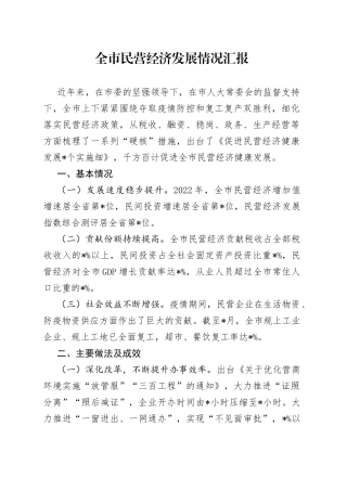 全市民营经济发展情况汇报