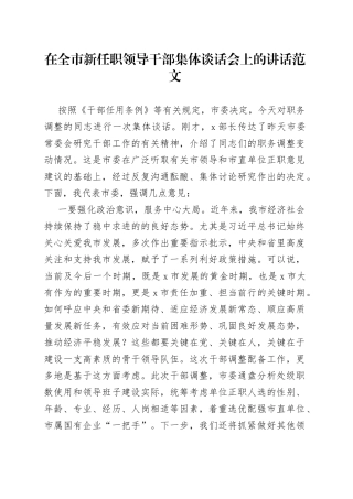 全市新任职领导干部任前集体谈话会议讲话提拔调整廉政