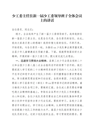 少工委主任在新一届少工委领导班子全体会议上的讲话