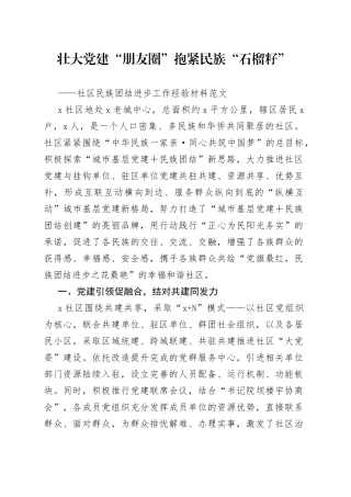 社区党建引领民族团结进步工作经验材料总结汇报事迹