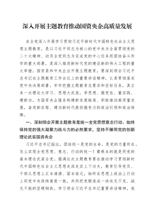 深入开展主题教育 推动国资央企高质量发展