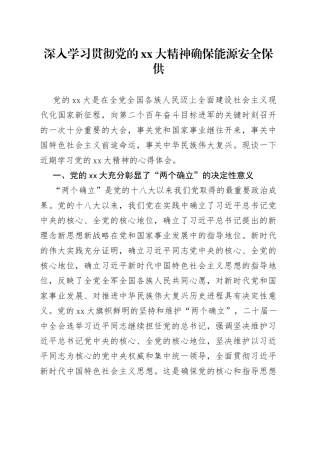 深入学习贯彻党的XX大精神确保能源安全保供