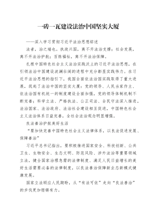 深入学习贯彻习近平法治思想综述