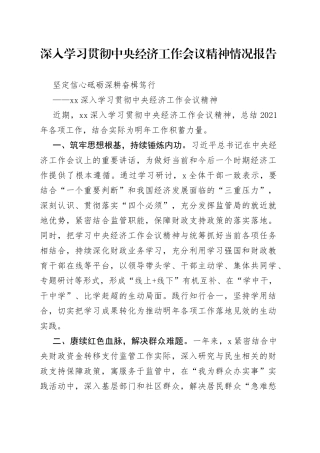 深入学习贯彻中央经济工作会议精神情况报告