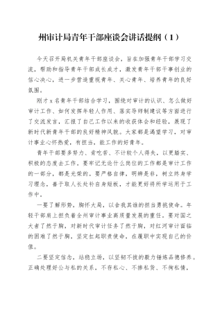 审计局青年干部座谈会讲话4篇