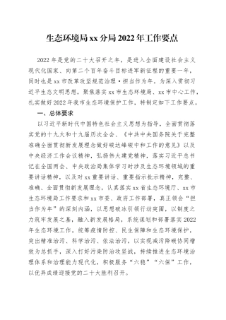 生态环境局xx分局2022年工作要点