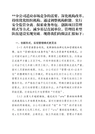 石油公司持续优化组织机构打造管理技术型企业经验材料