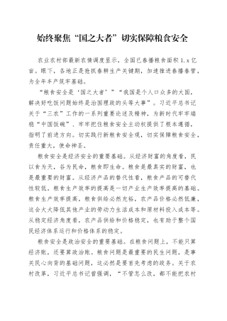 始终聚焦“国之大者” 切实保障粮食安全