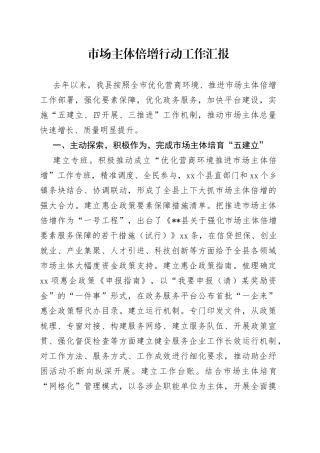 市场主体倍增行动工作汇报