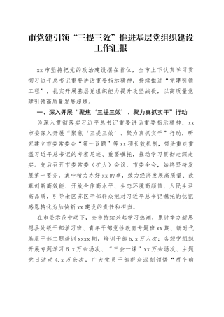 市党建引领“三提三效”推进基层党组织建设工作汇报