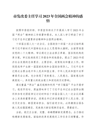 市发改委主任学习2023年全国两会精神的感悟