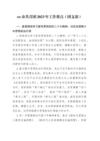 市共青团2023年工作要点（团支部）